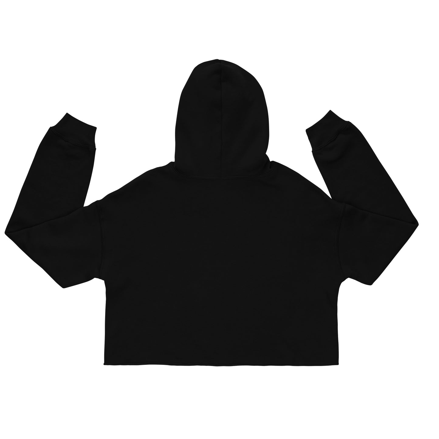 Trapani World Embroidered Crop Hoodie
